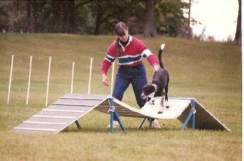 Linda and Doodle competing in their very first agility event in 1990.