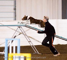 Photo Credit: www.pawprintspet.com