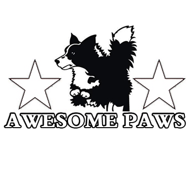 Awesome Paws Discussion Forum